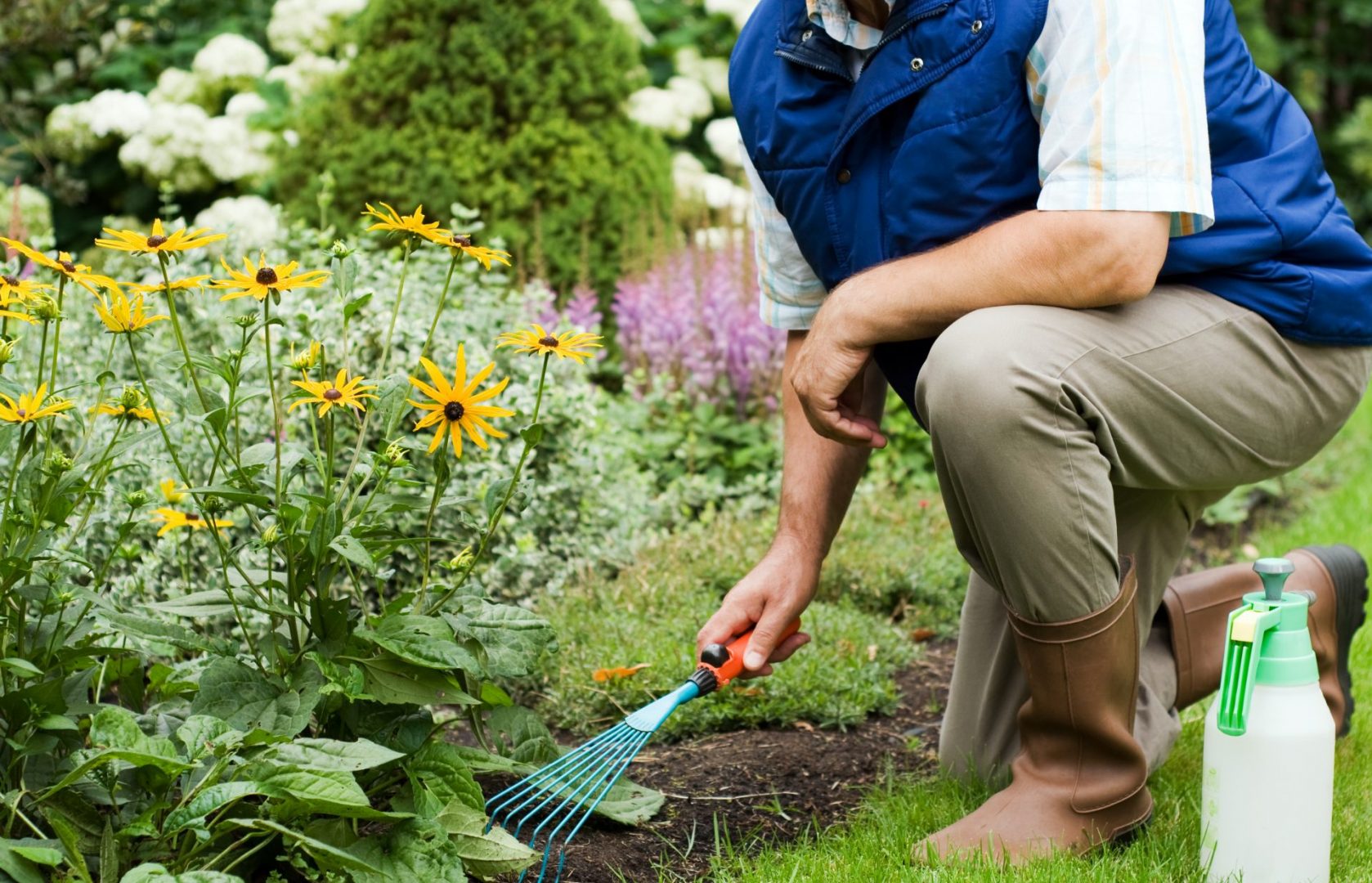 Spring Yard Clean Up