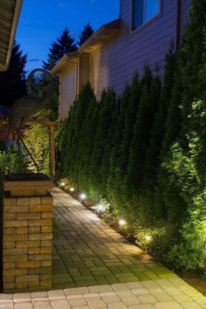 Unique Backyard Lighting