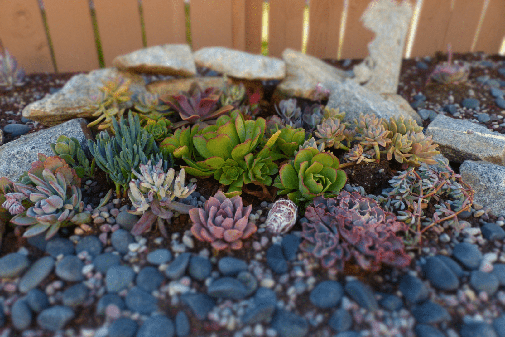 What Is Xeriscaping Landscaping