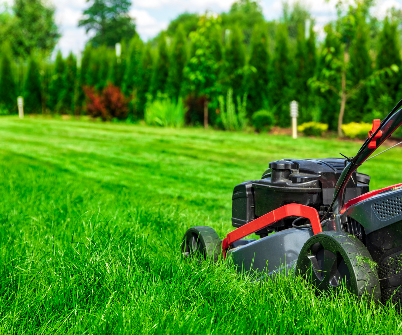 Common Lawn Care Mistakes