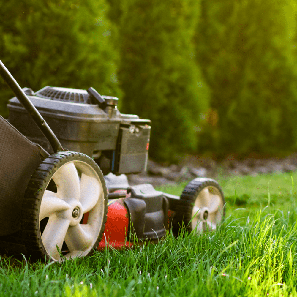 Tips For Mowing Lawn